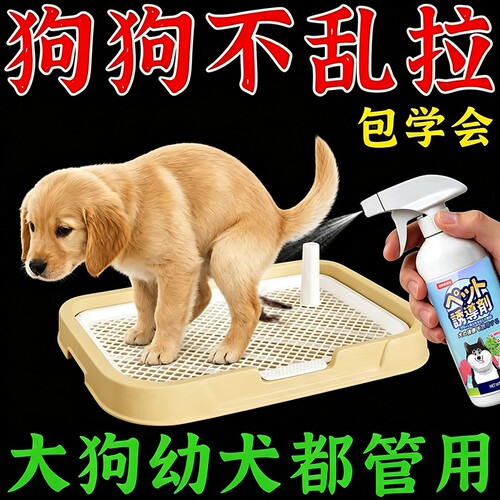 狗狗定点排便神器|111人收藏