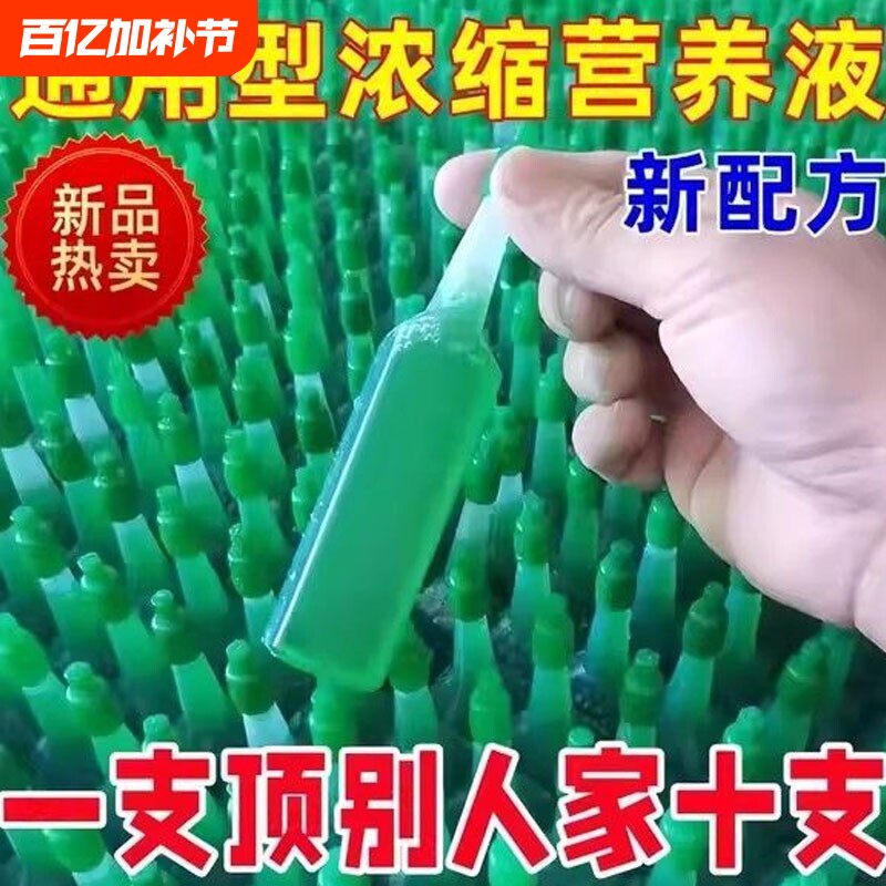 家用盆栽发财树富贵竹绿萝水培花卉植物营养液通用型绿植养花肥料