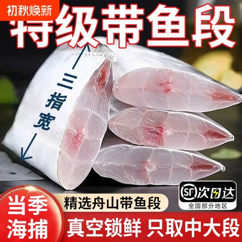 舟山东海带鱼带鱼段中段新鲜冷冻无冰特大雷达网小眼睛5斤级水产