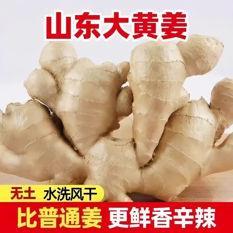 山东大姜老黄姜新鲜大块图片