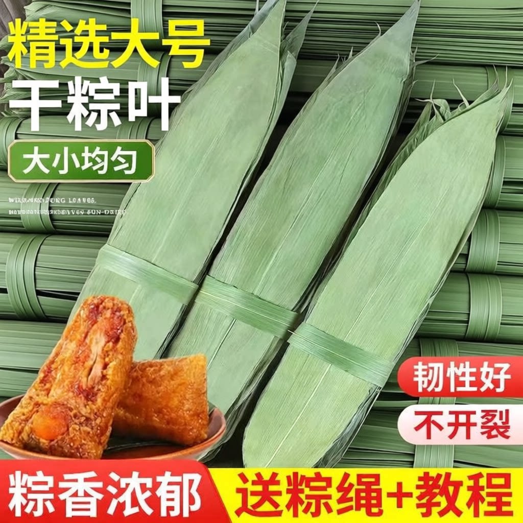 粽子叶粽叶干大号棕叶新鲜包粽子的竹叶子干粽叶批发材料糯米食用图片