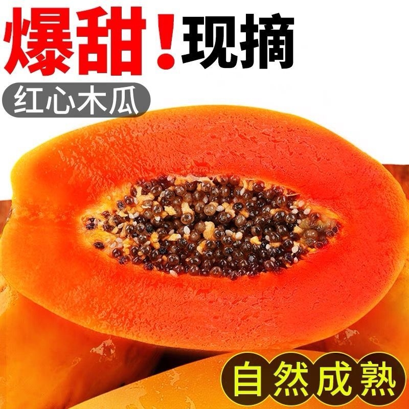 广西红心牛奶木瓜新鲜水果当季整箱树上熟孕妇下奶冰糖心雷州木瓜