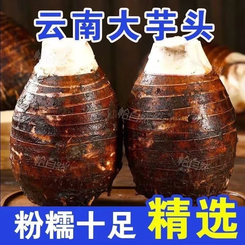 【甄选】云南高山新鲜大芋头小芋头正宗非槟榔芋现挖毛芋头粉糯香,水产肉类/新鲜蔬果/熟食,芋头,淘宝优惠券,粉丝福利购,淘宝优惠卷