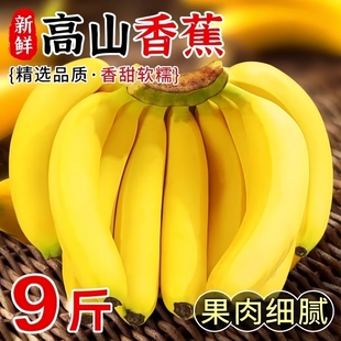 高山大香蕉当季新鲜水果青皮香蕉现摘香甜需催熟甜蕉甜香蕉香甜