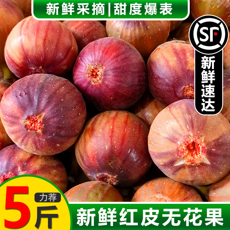 顺丰包邮新鲜无花果当季水果大果孕妇儿童鲜果红皮波姬红/芭劳奈