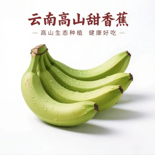正宗云南红河高山香蕉9斤