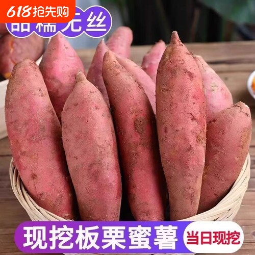 正宗蜜薯龙九沙地黄心现挖番薯新鲜糖心地瓜板栗红薯山芋批发香甜