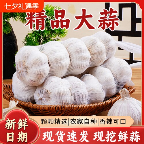 山东紫皮大蒜网兜干蒜批发