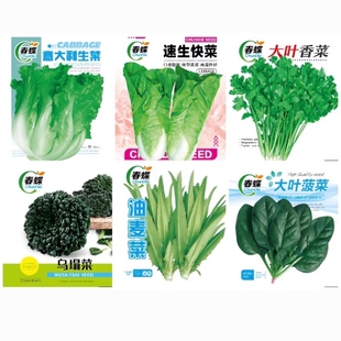蔬菜种子四季播盆栽春易种籽孑大全草莓麦菜种植玉米紫根秋葵孔雀
