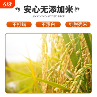 云南芒市遮放小毕朗贡米当季新米厂家10斤厂家直供香软可口有嚼劲