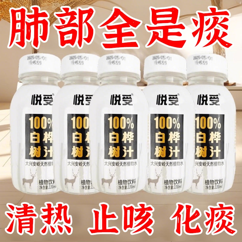 白桦树汁100%原汁无糖天然原液长白山养肝护肝桦树水整箱瓶装