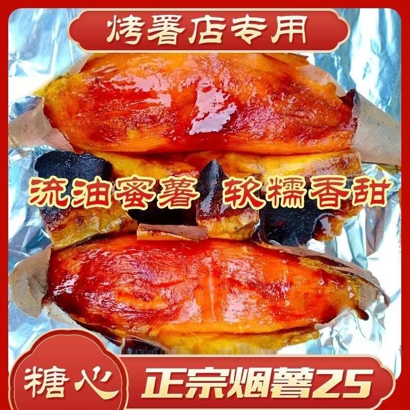 烟薯25山东烟台香糯营养好吃