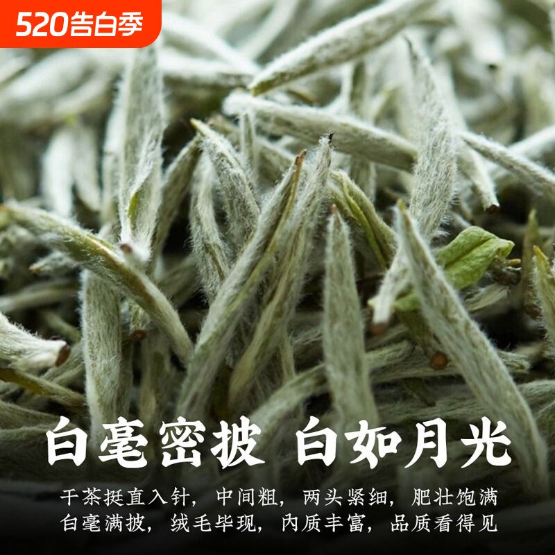 福鼎高山2026年白茶春季明前头采新茶白毫银针米针毫香散茶250