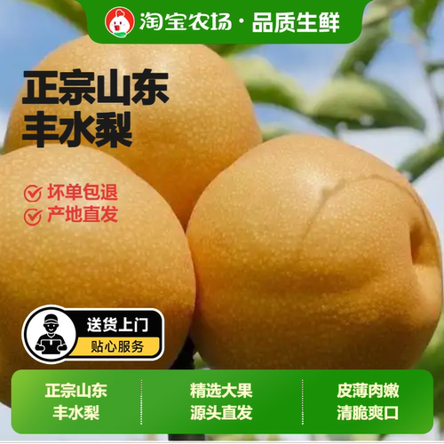 正宗山东丰水梨当季现摘果肉爽口送礼自用新鲜好水果农场大果精选