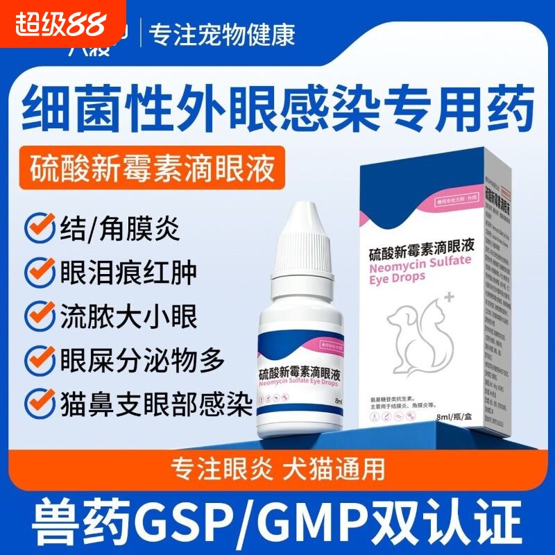 小猫咪滴眼液狗狗眼睛发炎流脓图片