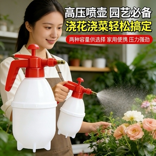 喷壶洒水壶加长雾化 家用浇水浇花壶酒精清洁消毒喷雾器手动气压式