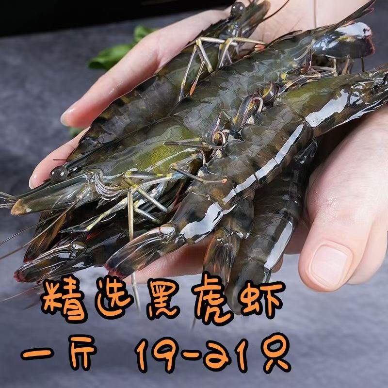 黑虎虾竹节虾速冻海鲜水产斑节九节虾大虎虾大虾海虾 一斤19-21只