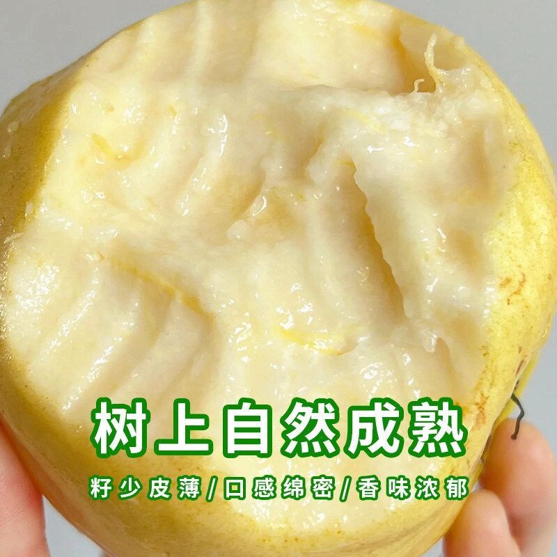 福建软糯奶油芭乐5斤水果漳州当季软白番石榴软心