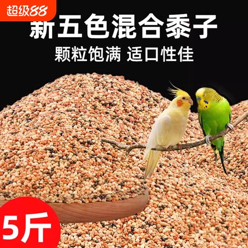 鹦鹉专用五色黍子粮|千人加购