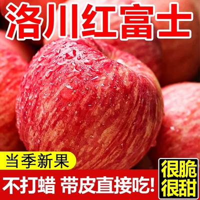 正宗陕西洛川红富士苹果早熟红富士新鲜当季水果脆甜肉厚产地直发