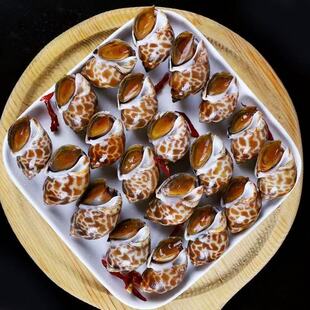 优鲜冷冻花螺海螺新鲜东风螺小香螺无沙捞汁海鲜生鲜水产商用冰鲜