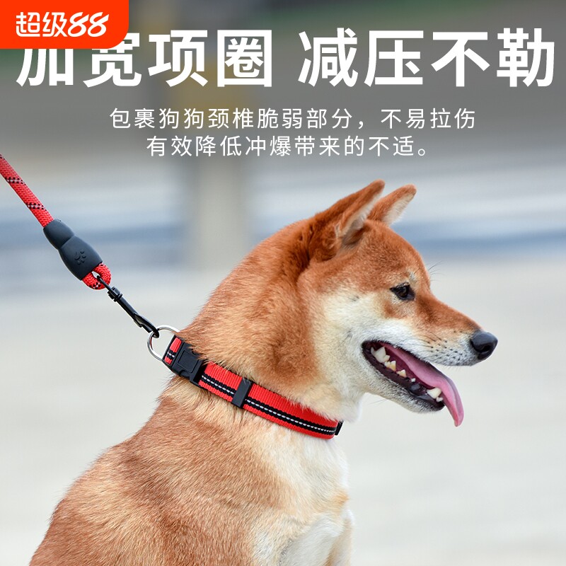 狗狗牵引绳狗绳子遛狗脖圈泰迪金毛宠物小型犬狗炼炼�项圈防咬