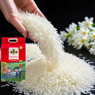 原生态梯田香米壮乡新米长粒香米真空装丝苗米猫牙米优质大米10斤