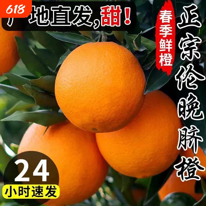 正宗伦晚脐橙春橙秭归橙子当季新鲜水果整箱果冻甜榨汁大果现摘