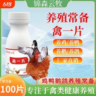 云牧禽一片鸡鸭鹅鸽四季养殖喂服饮水拌料家禽鸡鸭鹅专用养鸡养鹅