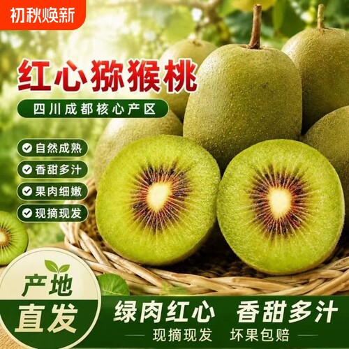 正宗四川红心猕猴桃|千人加购