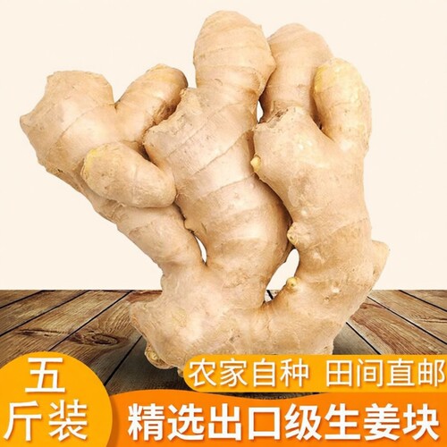 山东大姜优质生姜新鲜包邮