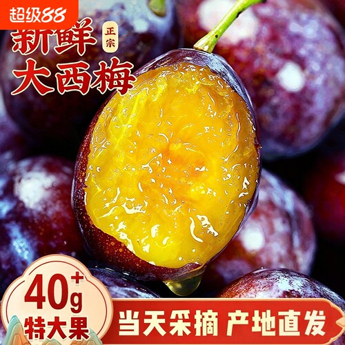 西梅5斤新鲜水果当季整箱李子