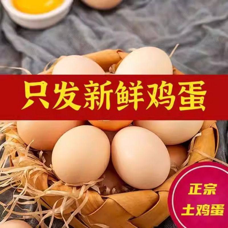 九华山竹林蛋高山散养土鸡蛋月子鸡蛋10枚产地直发顺丰包邮次日达,水产肉类/新鲜蔬果/熟食,鸡蛋,淘宝优惠券,粉丝福利购,淘宝优惠卷