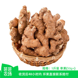 【芭芭农场】云南小黄姜5斤