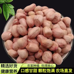 当季新货现剥白沙花生米粒粉红皮选用优质干燥花生无壳花生豆