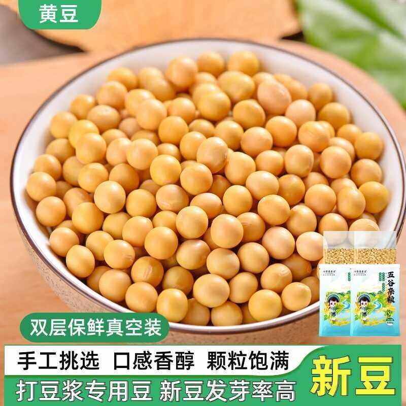 打豆浆专用黄豆小包装东北农家自种大豆种发豆芽五谷杂粮