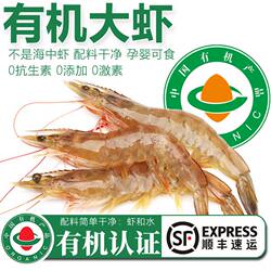 有机盐田虾大虾鲜活速冻特大鲜对虾白虾渤海孕妇儿童水产生鲜冷冻