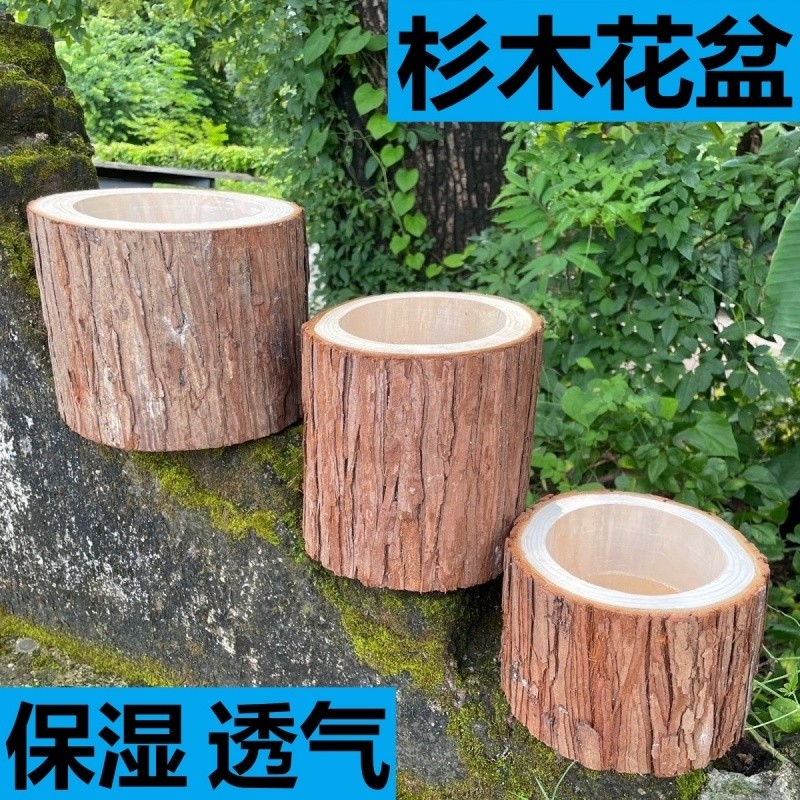 原木花盆杉木兰花多肉石斛专用室内绿植手工干花插花保湿透气抗摔