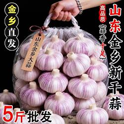 【金乡大蒜】山东金乡新干蒜5斤种子干蒜蒜头紫白皮足干可吃可种