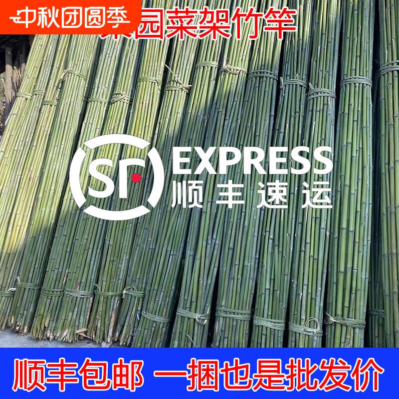 竹竿菜园搭架蔬菜黄瓜番茄豆角架图片