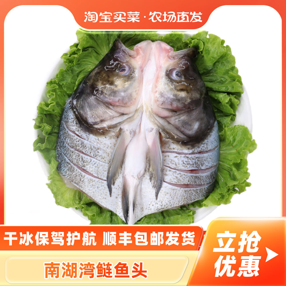 南湾湖开片鲢鱼头顺丰包邮