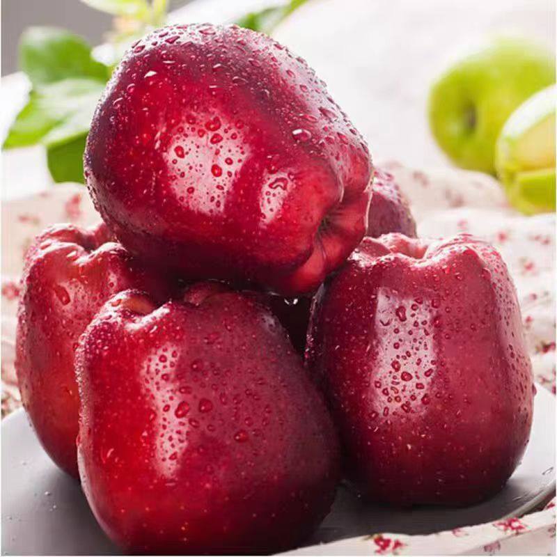 新年限定年货花牛苹果新鲜水果脆甜多汁,水产肉类/新鲜蔬果/熟食,苹果,淘宝优惠券,粉丝福利购,淘宝优惠卷