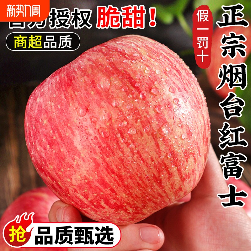 正宗山东烟台红富士苹果新鲜水果当季整箱冰糖心脆甜果园产地直发