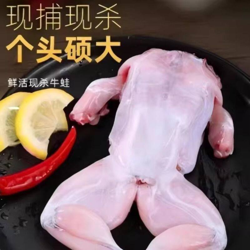 新鲜牛蛙腿肉饱满鲜活牛蛙腿肉饱满带腿特鲜多汁鲜活