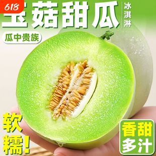 山东单县 新鲜水果玉菇甜瓜香甜可口当季水果甜瓜果露天种植冰糖