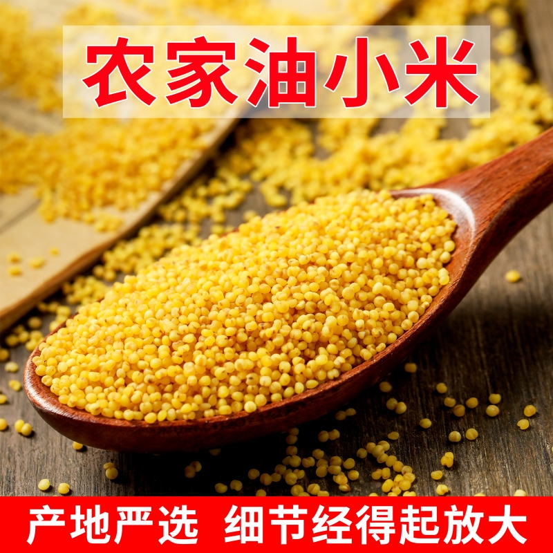 陕北黄小米米脂油小米吸嘴袋装新米米油醇厚易食用易真空小包装