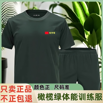 体能服正品原厂短袖体能训练服套装 短袖短裤夏运动短袖上衣t恤男