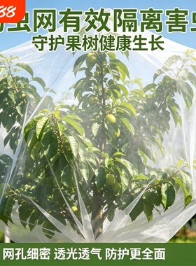 果园果树防虫透气透光网罩加厚网