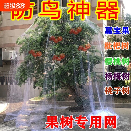 果树防鸟网果园小孔用网葡萄蓝莓杨梅树防护网尼龙防鸟鸽子麻雀网