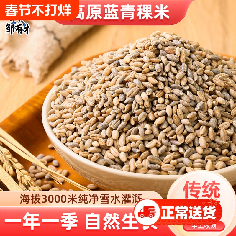 蓝青稞米特产新米粗粮主食五谷杂粮煮粥非西藏谷物麦仁传统优选